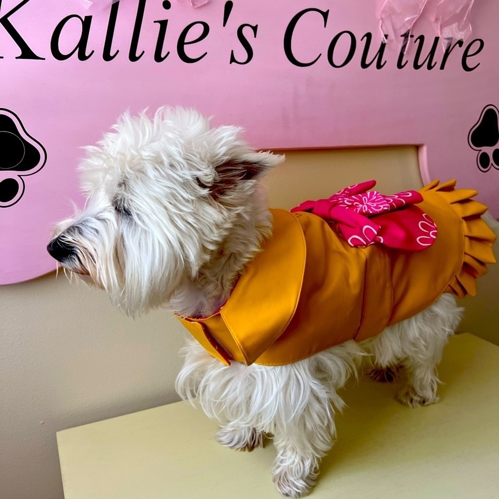Designer Rain Coat with Decorative Lining.